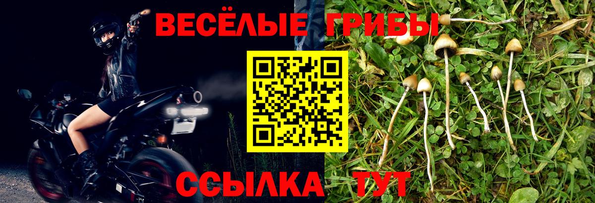 Якутск  Псилоцибиновые грибы ЛСД  Вход с VPN 