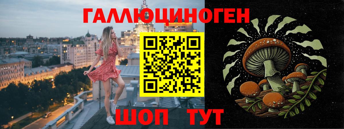 Галлюциногенные грибы GOLDEN TEACHER Якутск